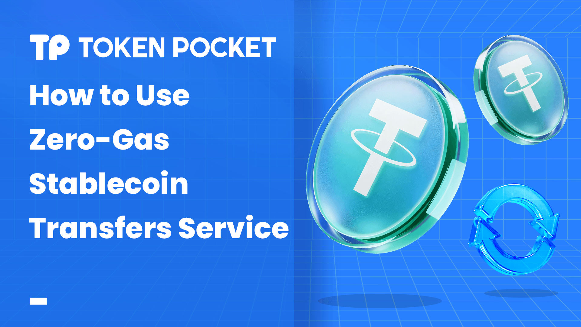 How to Use Zero-Gas Stablecoin Transfers Service?