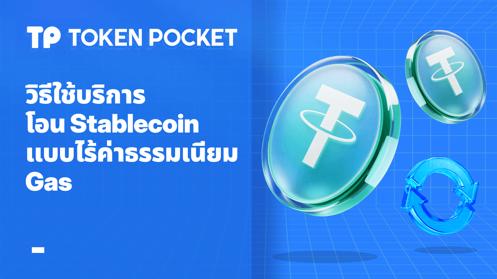 จะใช้บริการโอน Zero-Gas Stablecoin ได้อย่างไร